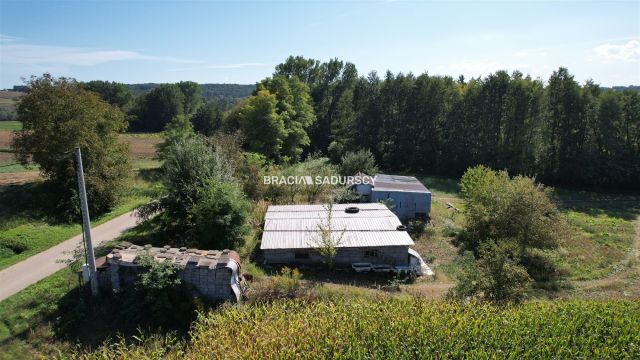 Działka rolna Kazimierza Wielka. Zdjęcie 11