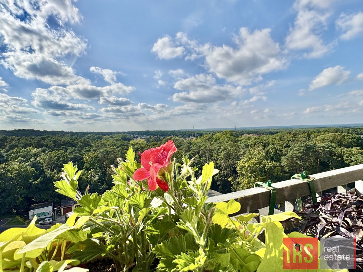 Mieszkanie 3-pokojowe Zielona Góra, ul. Kraljevska. Zdjęcie 2