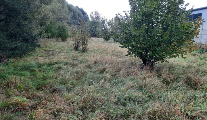 Działka budowlana Potaśnia, ul. Gruszowa