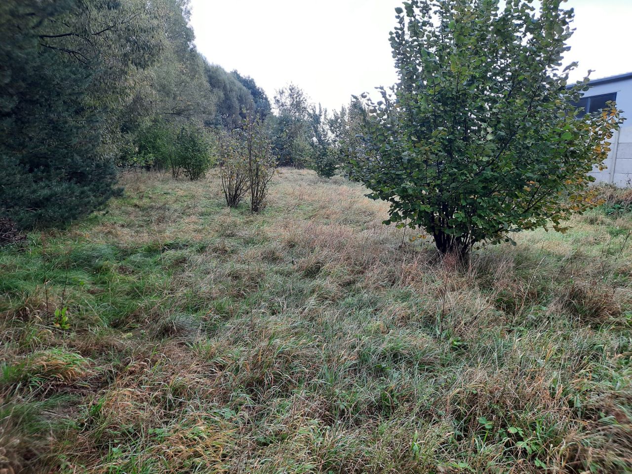 Działka budowlana Potaśnia, ul. Gruszowa. Zdjęcie 1