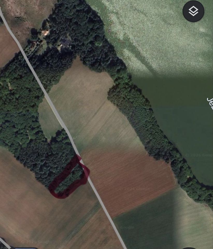 Działka leśna Kościerzyna. Zdjęcie 3