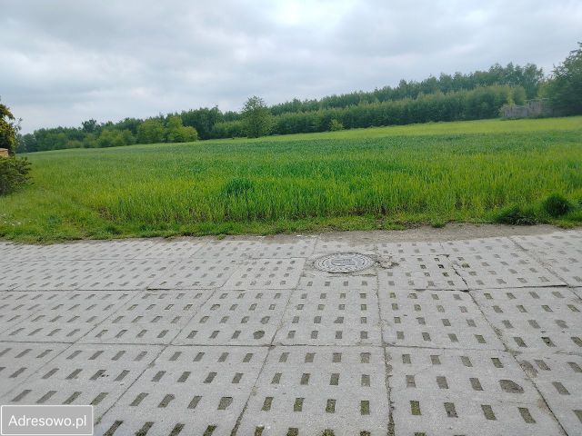 Działka rolno-budowlana Smardzewice. Zdjęcie 1