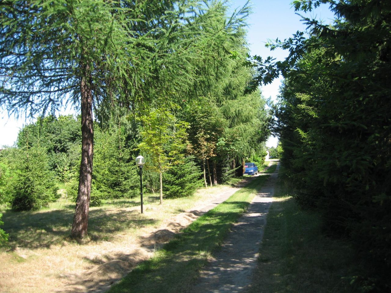 gospodarstwo, 4 pokoje Drwalew, ul. Grójecka. Zdjęcie 8