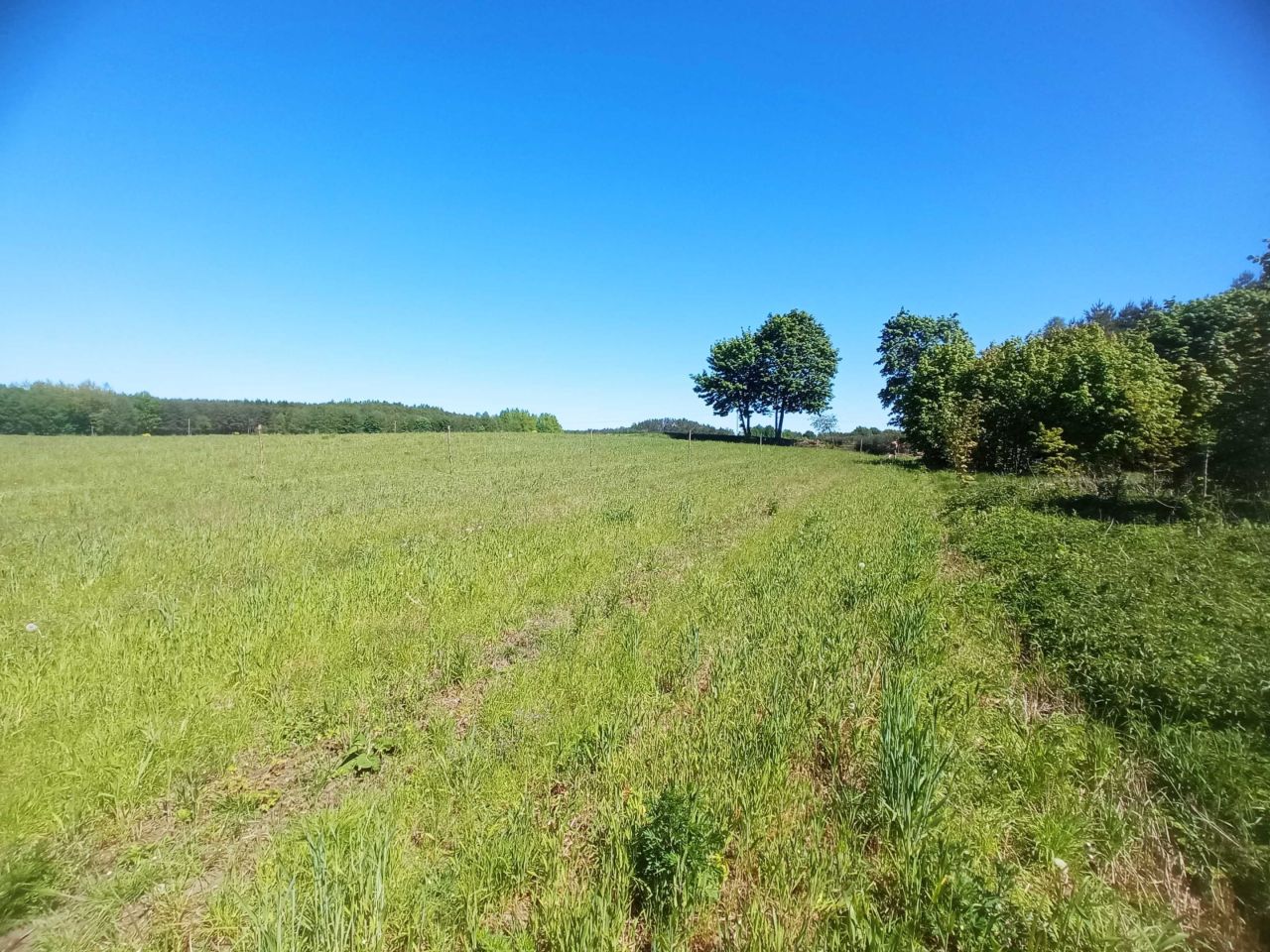 Działka budowlana Samagowo Kąpity. Zdjęcie 4