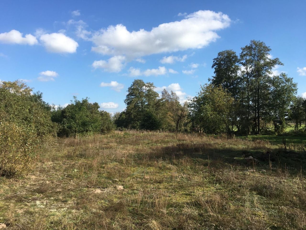 Działka siedliskowa Młyniska. Zdjęcie 8