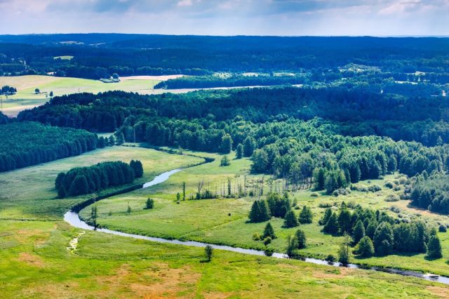 Działka rekreacyjna Mostkowo. Zdjęcie 4