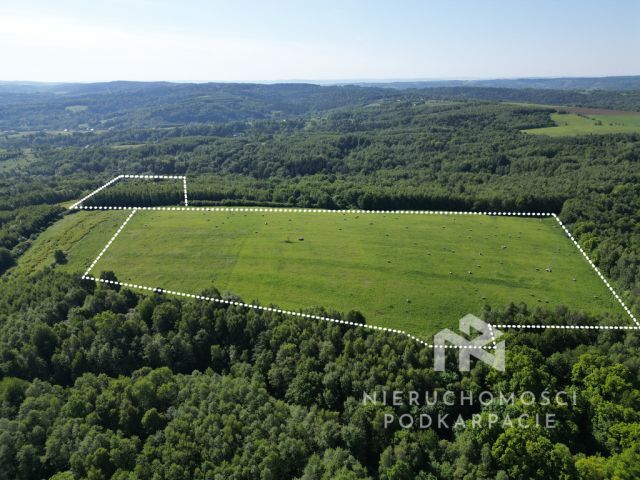 Działka rekreacyjna Błażowa Dolna. Zdjęcie 3