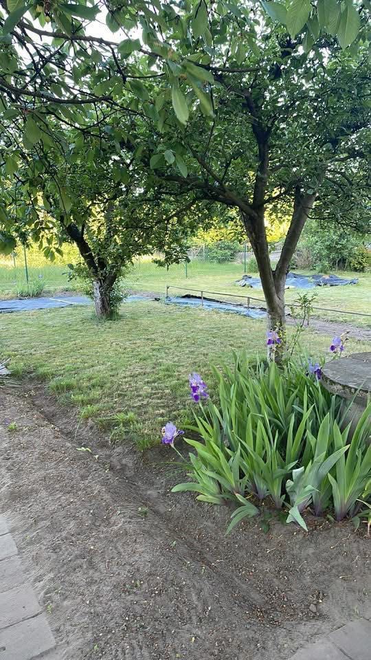 Działka rod Kępno. Zdjęcie 7