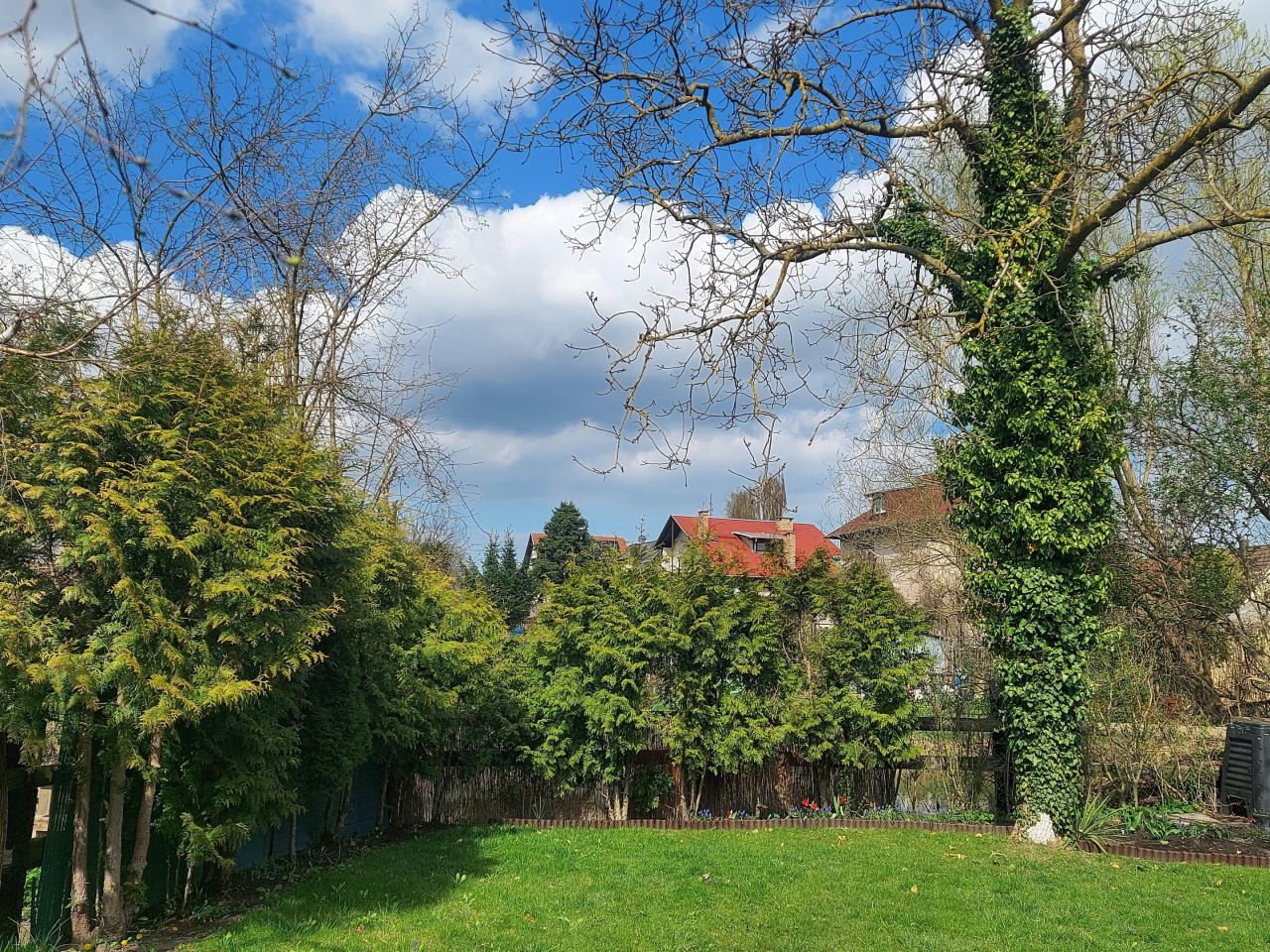 Działka rod Szczecin Gumieńce, ul. Ku Słońcu. Zdjęcie 3