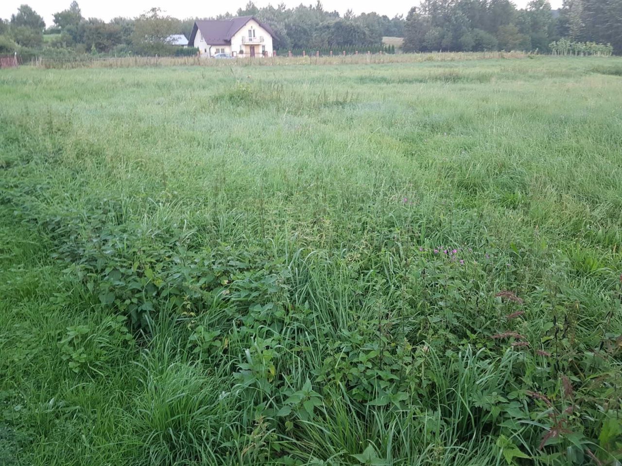 Działka budowlana Lublica. Zdjęcie 3