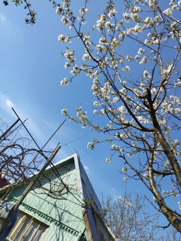 Działka rekreacyjna Rzeszów Krakowska Południe, ul. Stanisława Wyspiańskiego. Zdjęcie 1