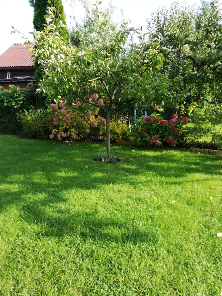 Działka rod Warszawa Bemowo, Dzialka ROD Bemowo II. Zdjęcie 22