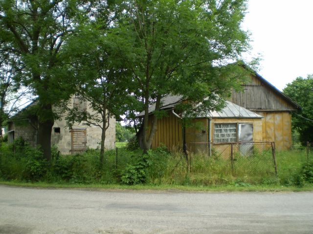 Działka budowlana Krępa. Zdjęcie 1