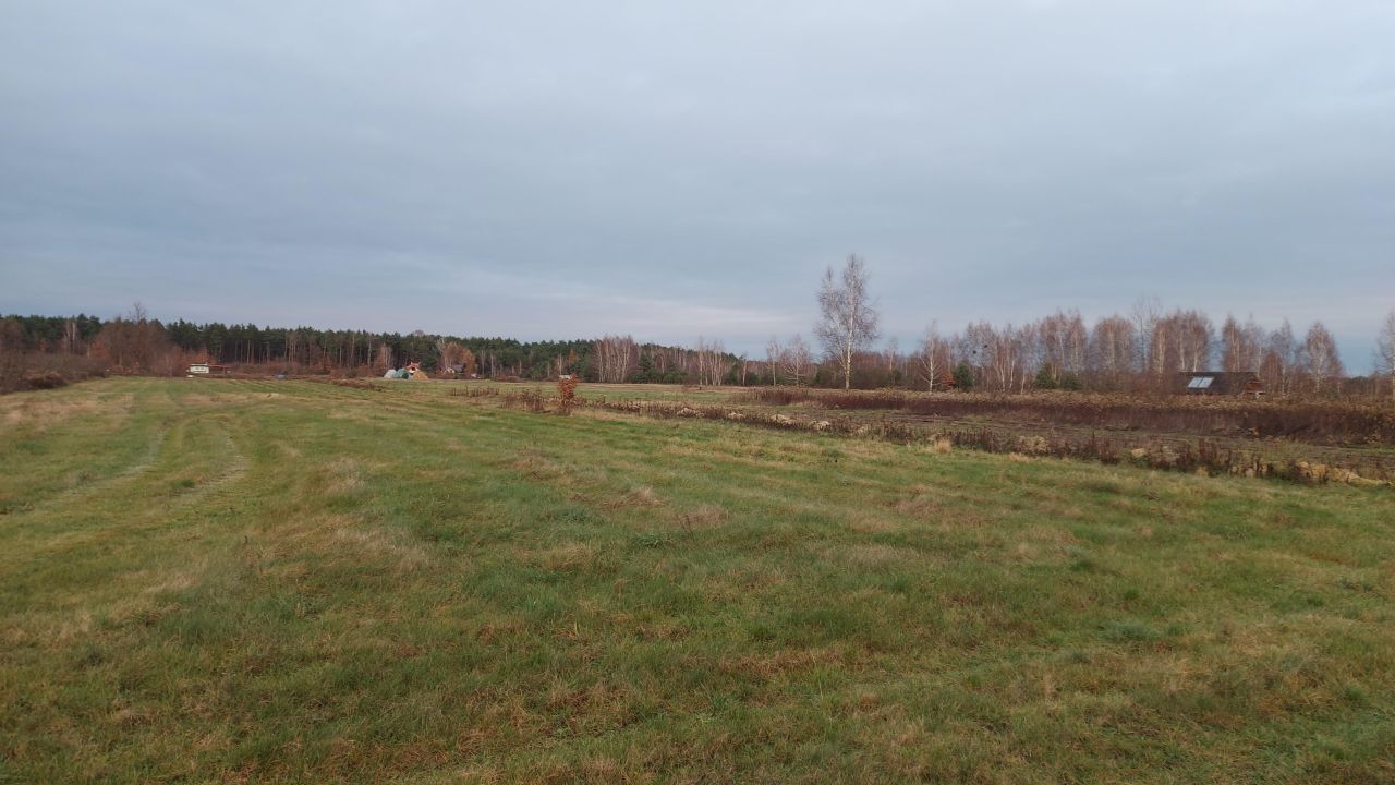 Działka budowlana Borzęcin Duży Borki, ul. Relaksowa. Zdjęcie 6
