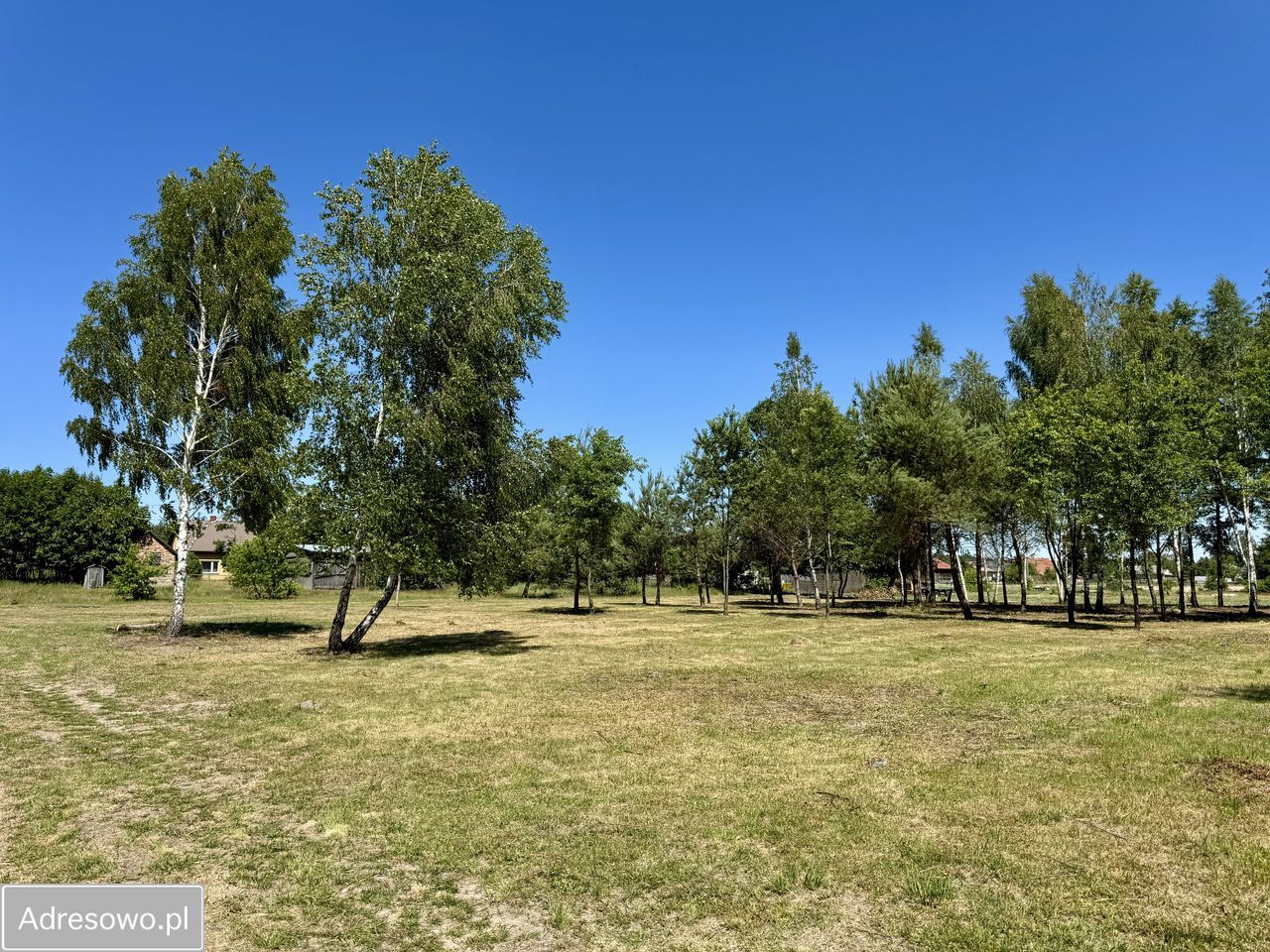 Działka budowlana Antoninów. Zdjęcie 17