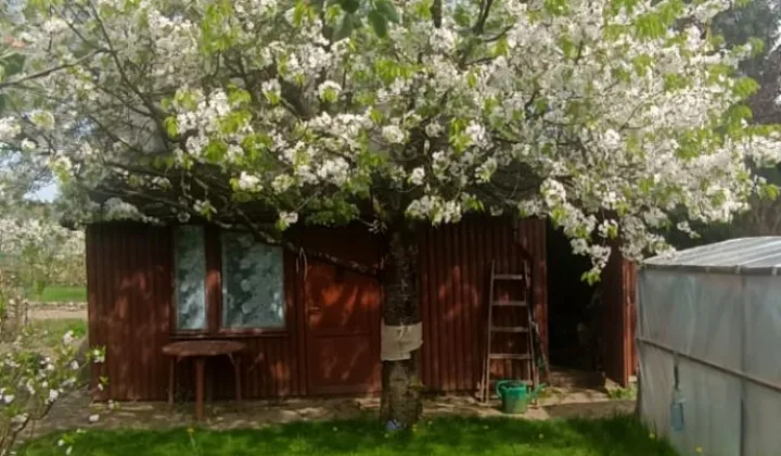 Działka rod Iława, ul. Władysława Reymonta