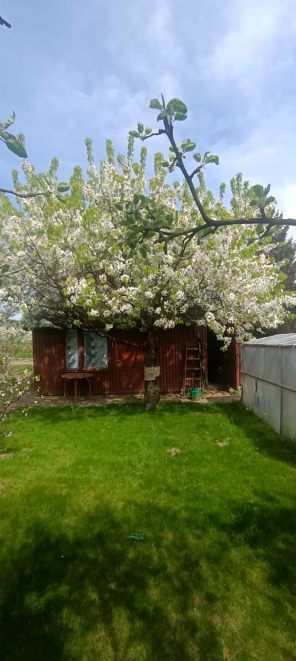 Działka rod Iława, ul. Władysława Reymonta