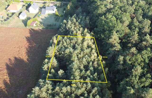 Działka budowlana Zalesie Borowe. Zdjęcie 3