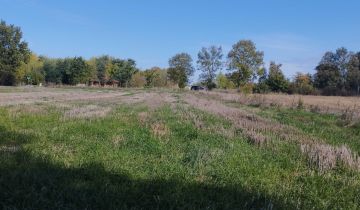 Działka budowlana Urszulin