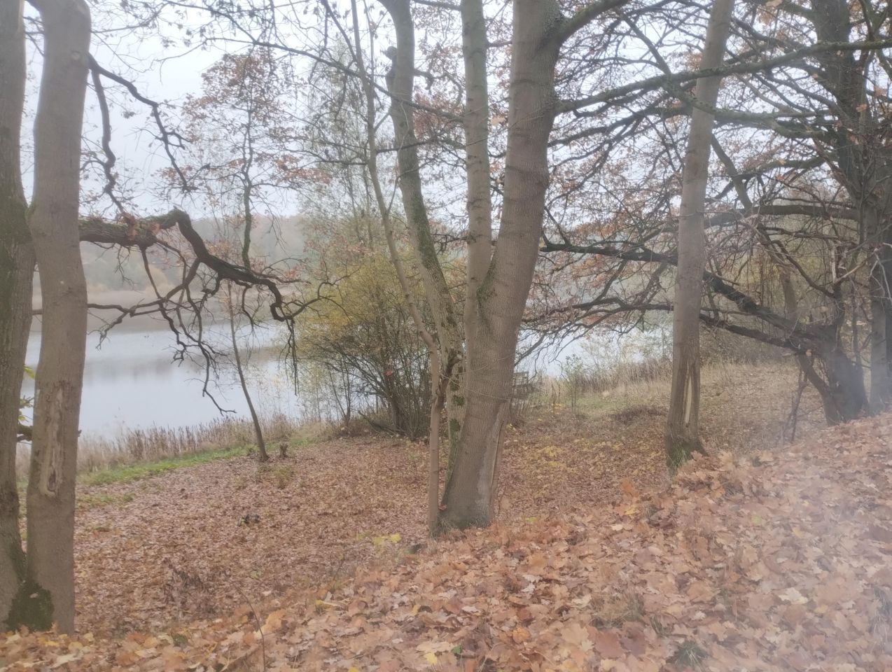 Działka rekreacyjna Parlino, Parlino. Zdjęcie 6