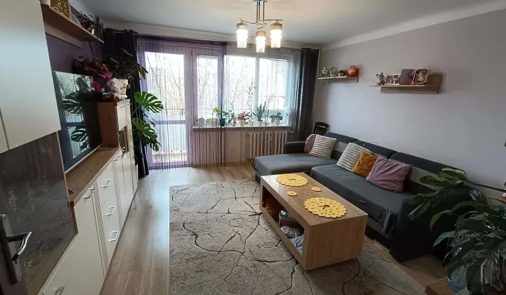 Mieszkanie 2-pokojowe Radom Śródmieście, ul. Mieczysława Niedziałkowskiego