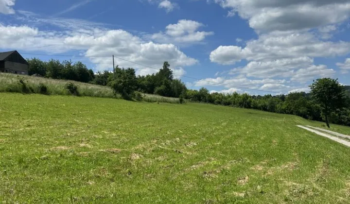Działka rolno-budowlana Wola Nieszkowska