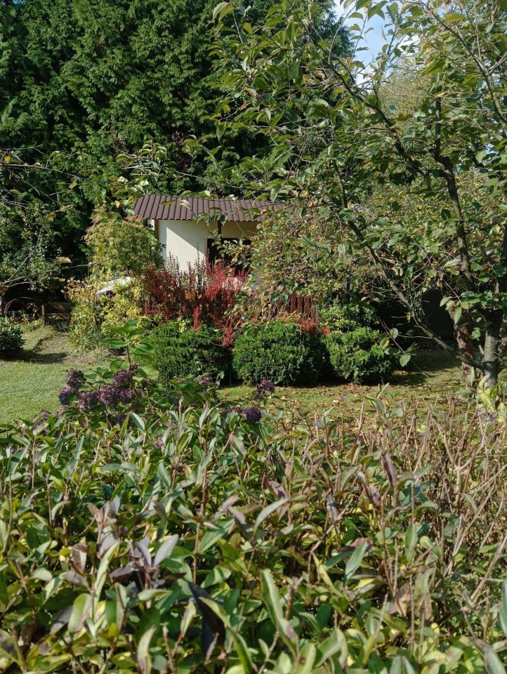 Działka rod Jastrzębie-Zdrój. Zdjęcie 2