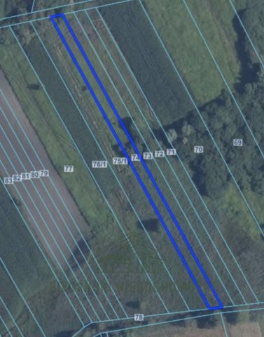 Działka rolna Łysołaje. Zdjęcie 1