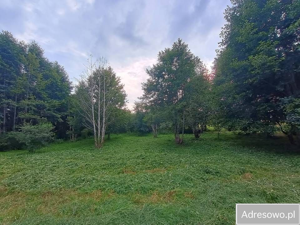 Działka Swobodna. Zdjęcie 6