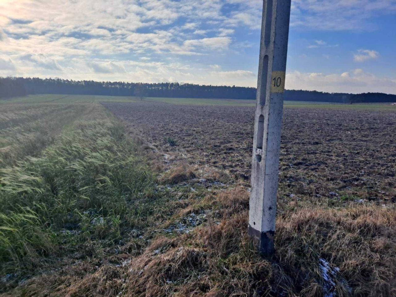 Działka budowlana Twarda. Zdjęcie 4