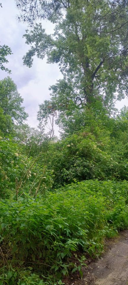 Działka budowlana Kania Nowa. Zdjęcie 9