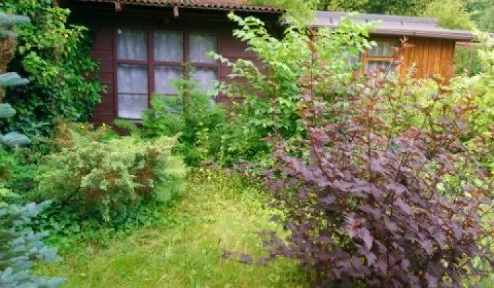 Działka rod Łódź Zdrowie