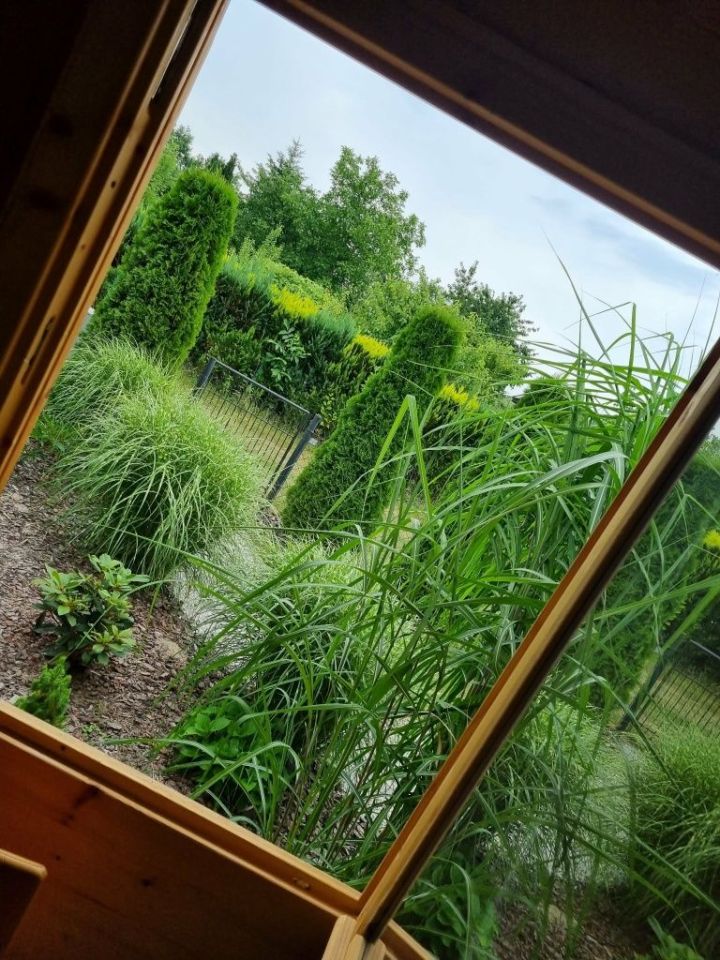 Działka rod Nowe Miasto nad Pilicą. Zdjęcie 5