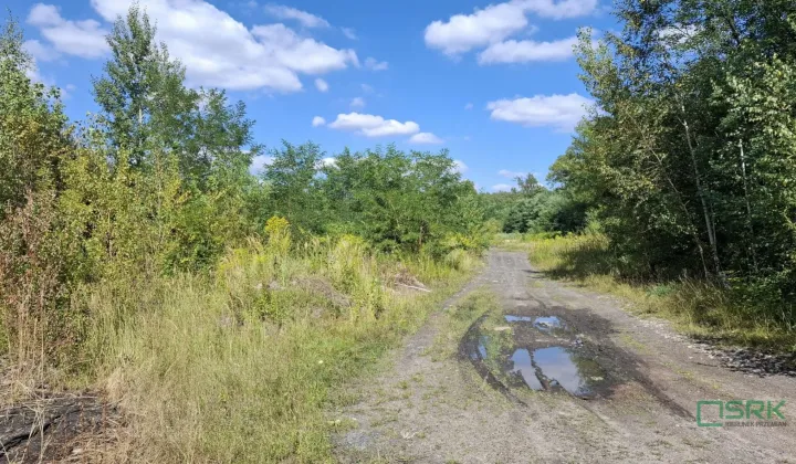 Działka inna Sosnowiec, ul. Kopalniana