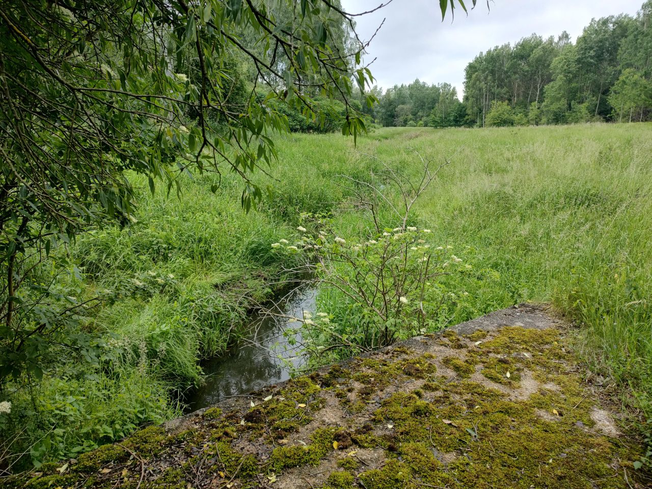 Działka rolno-budowlana Szydłowiec, ul. gen. Józefa Sowińskiego. Zdjęcie 4