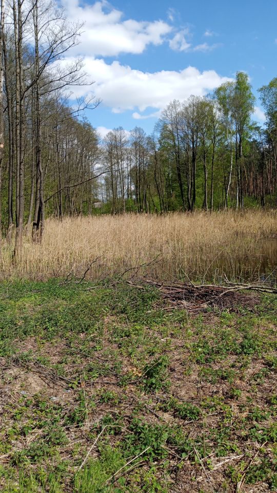 Działka rolno-budowlana Żarnów. Zdjęcie 4