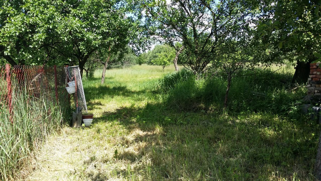 dom wolnostojący, 4 pokoje Myszków Nowa Wieś Żarecka, ul. Koziegłowska. Zdjęcie 14