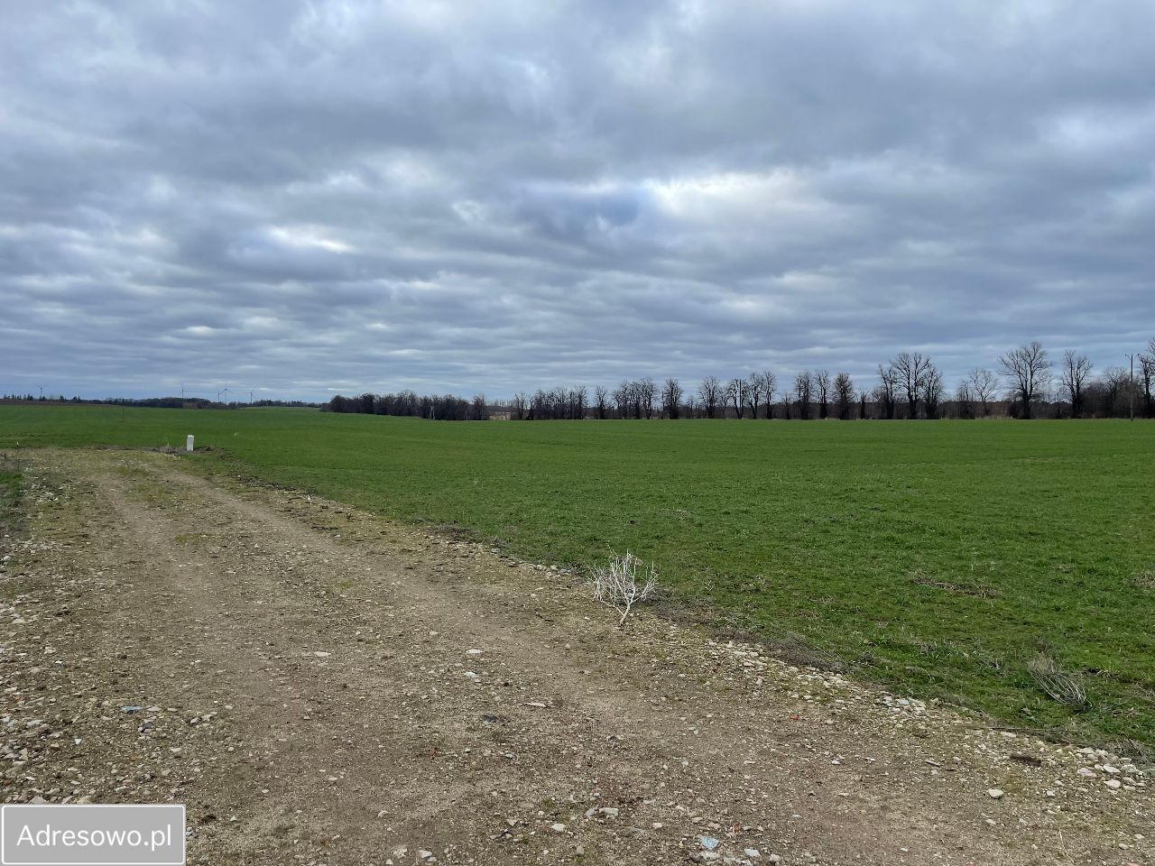 Działka rolno-budowlana Wieniotowo