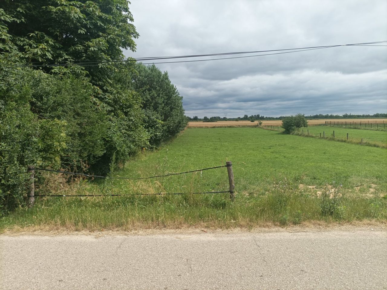 Działka budowlana Wola Magnuszewska. Zdjęcie 4