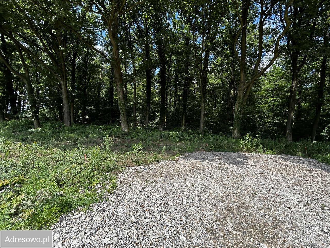 Działka budowlana Siemianice, ul. Cicha. Zdjęcie 5
