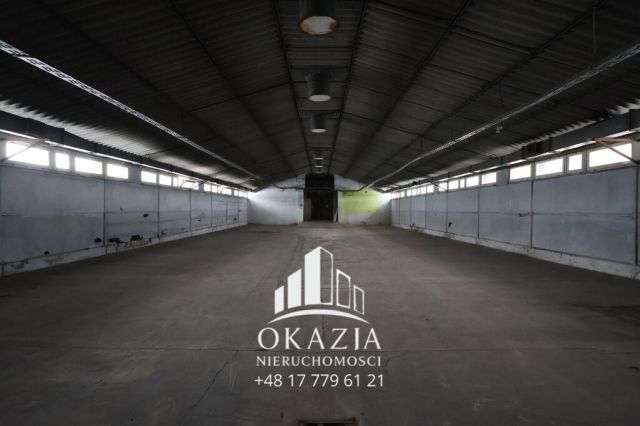 Hala/magazyn Wysoka Głogowska. Zdjęcie 8