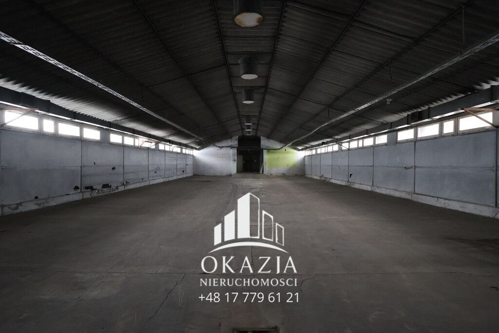 Hala/magazyn Wysoka Głogowska. Zdjęcie 8