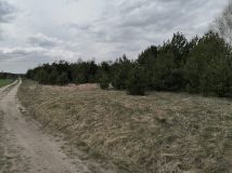 Działka rolno-budowlana Rokity. Zdjęcie 3