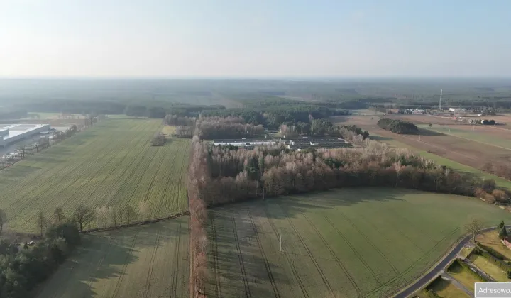 Działka budowlana Bolewicko