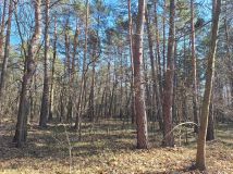 Działka leśna Otwock Świerk. Zdjęcie 1