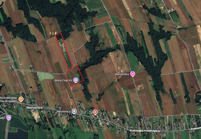 Działka rolna Niemienice. Zdjęcie 1