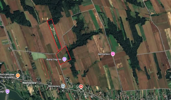Działka rolna Niemienice