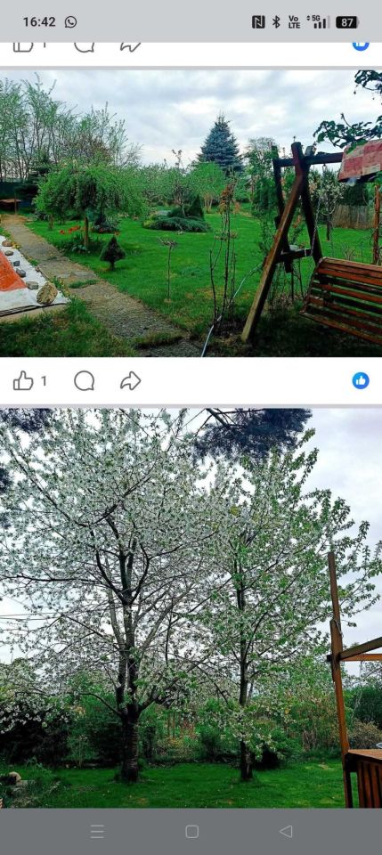 Działka rod Koszalin, ul. Działkowa. Zdjęcie 8