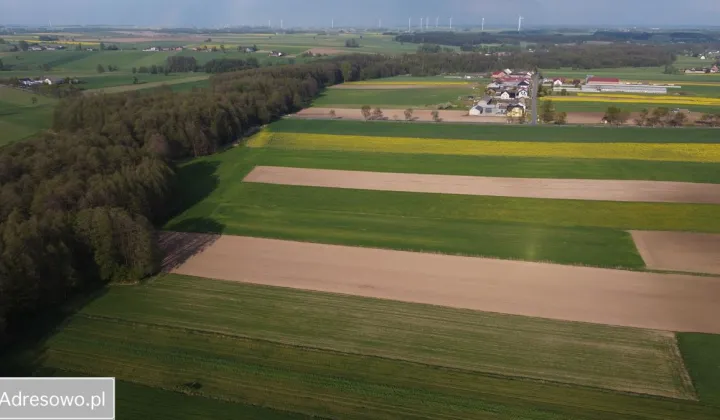 Działka rolno-budowlana Lubiska-Kolonia