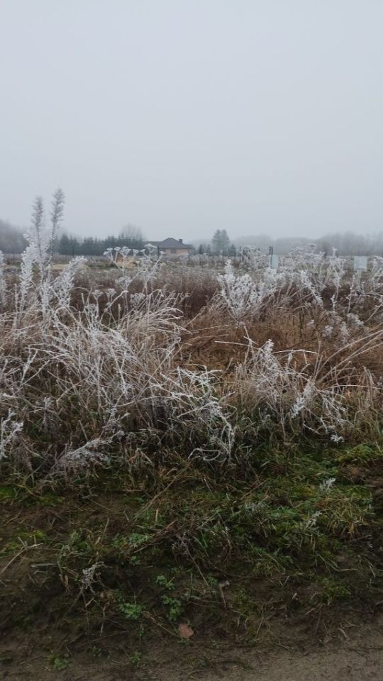 Działka budowlana Borek. Zdjęcie 3